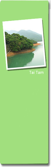 Tai Tam